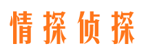 铁山港市侦探公司